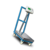 WS0121 Bench Shipping Scale Floor With Lockable Casters