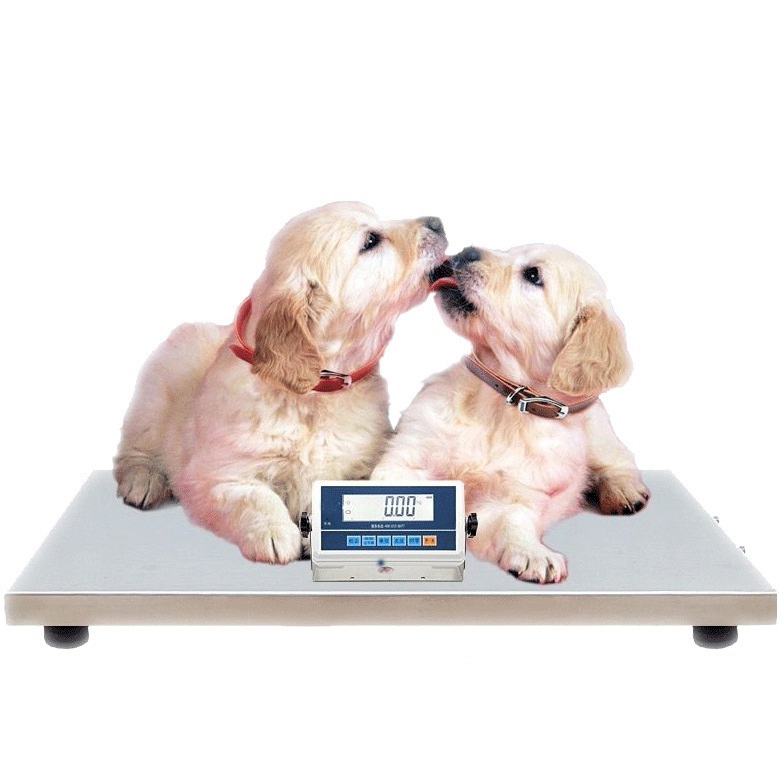 WSA104 Vet & Zoo Weighing Scales Portable Animal Scales