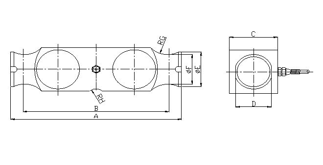 LC113