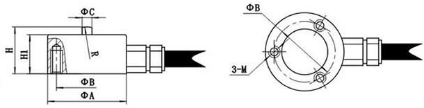 LC5013