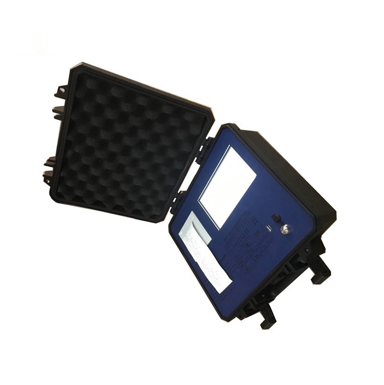 WI380 Radio Wireless Professional Weight Indicator Wireless Weighing Indicator Factory
