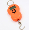 SAINTBOND Scales Available To Weigh Fish Digital Fishing Scale 40KG/10G 