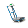 WS0121 Bench Shipping Scale Floor With Lockable Casters