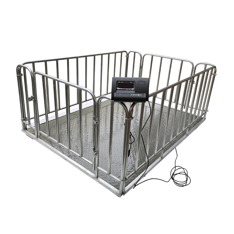 WSA001 Animal Weighing Scales Farm Weighing Scales for Livestock