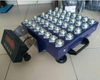 WSF006 Weighing Floor Scale Ball Top Platter Shipping Scales 